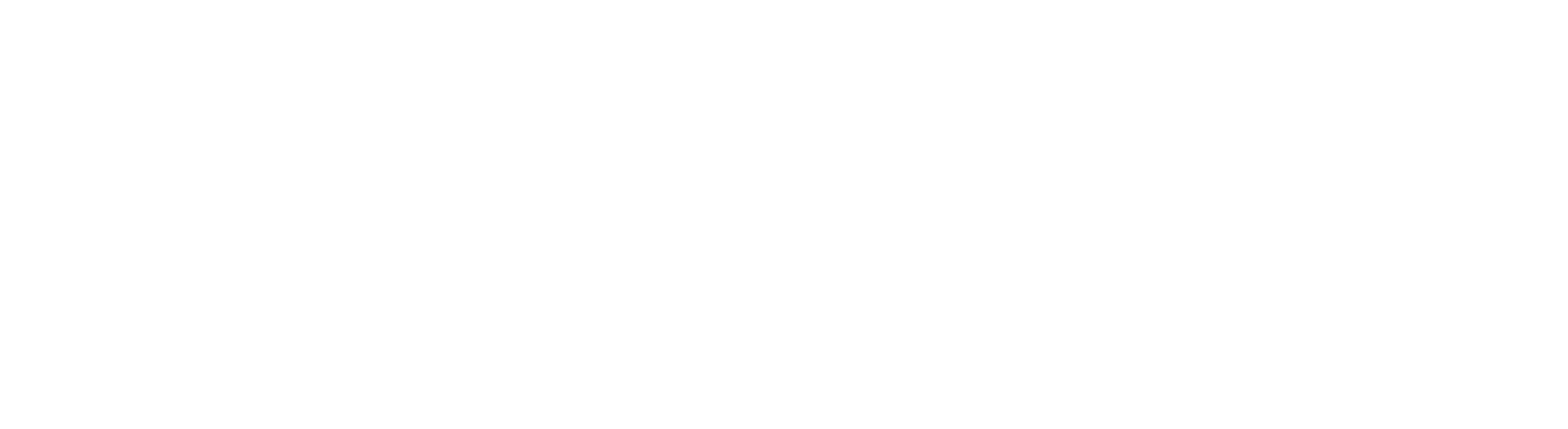 German Engineered Cigars – 10 Years